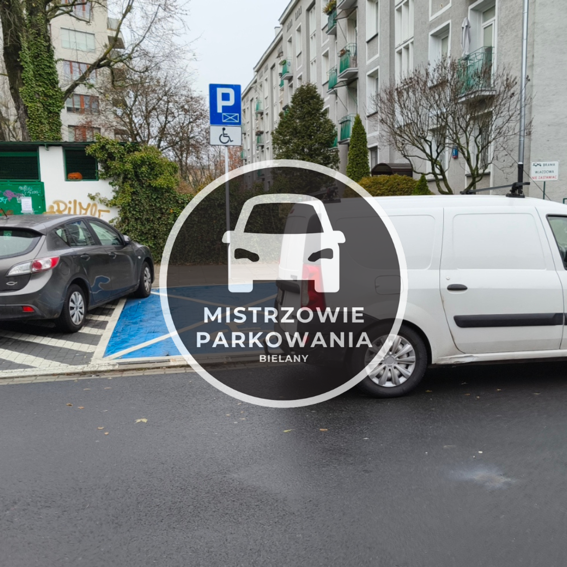 Mistrzowie parkowania #76