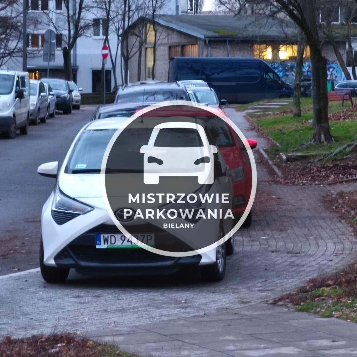 Mistrzowie parkowania #77 Mistrzowie parkowania #77