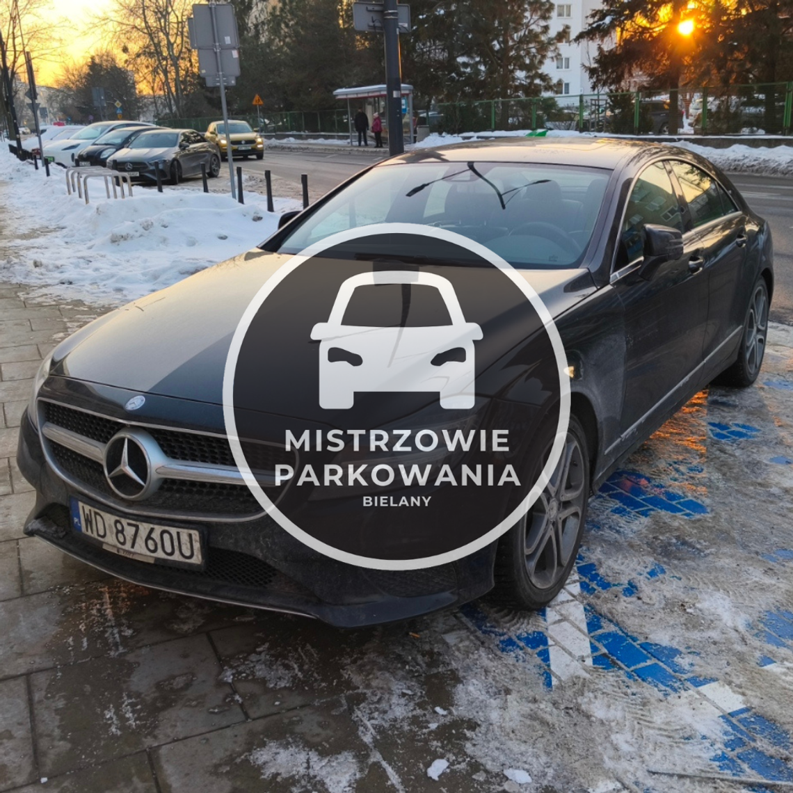Mistrzowie parkowania #79