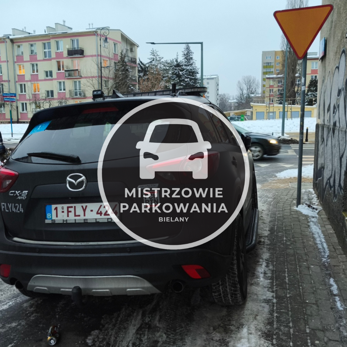 Mistrzowie parkowania #80