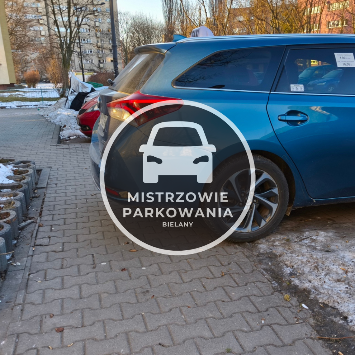 Mistrzowie parkowania #81 Mistrzowie parkowania #81