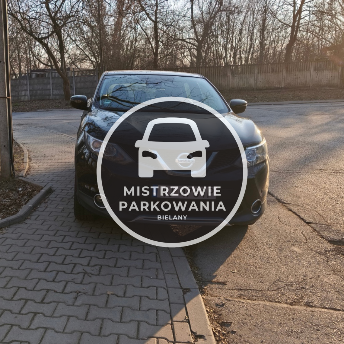 Mistrzowie parkowania #82