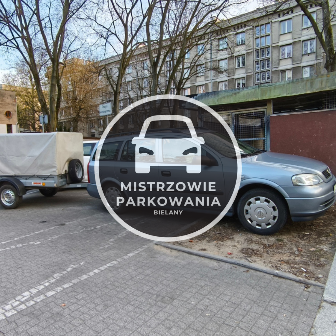 Mistrzowie parkowania #83