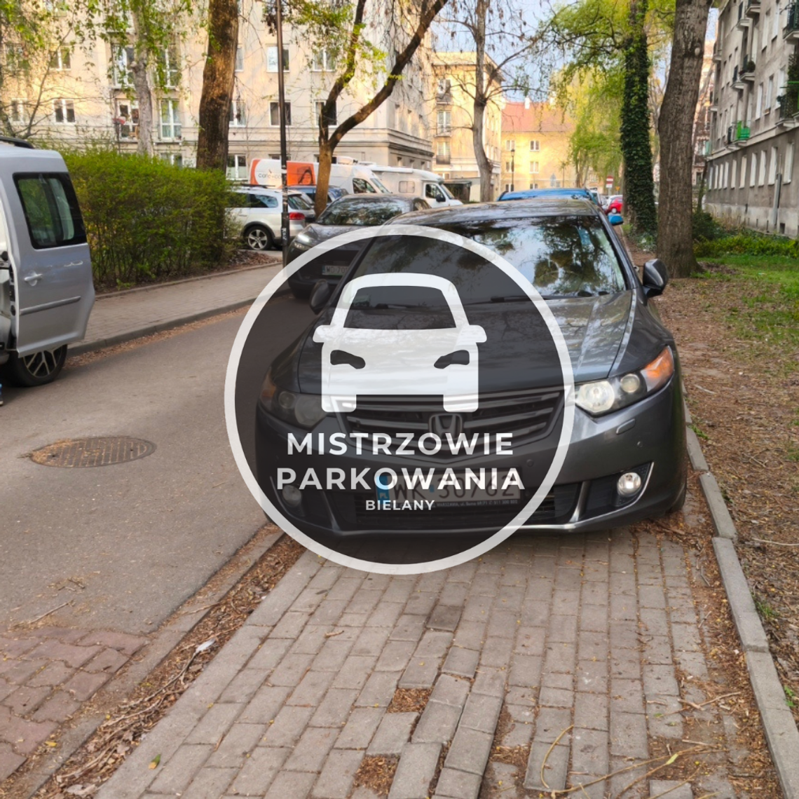 Mistrzowie parkowania #84 Mistrzowie parkowania #84
