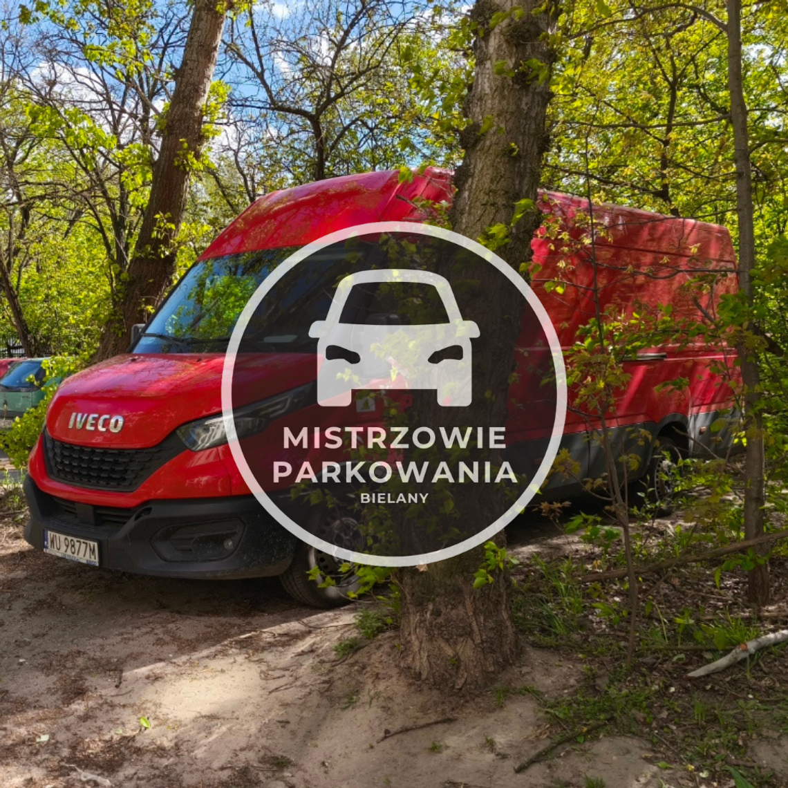 Mistrzowie parkowania #85