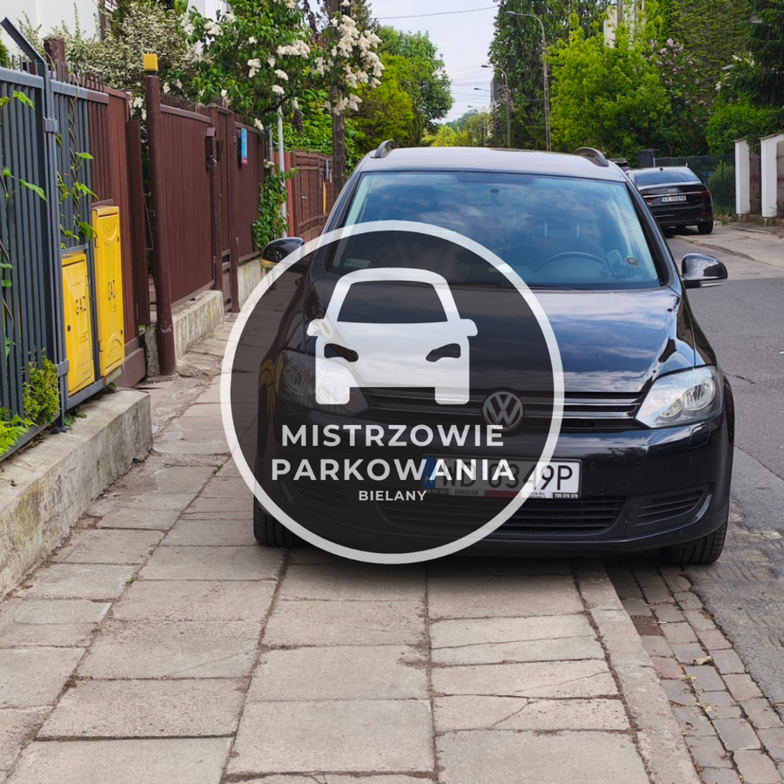 Mistrzowie parkowania #86 Mistrzowie parkowania #86
