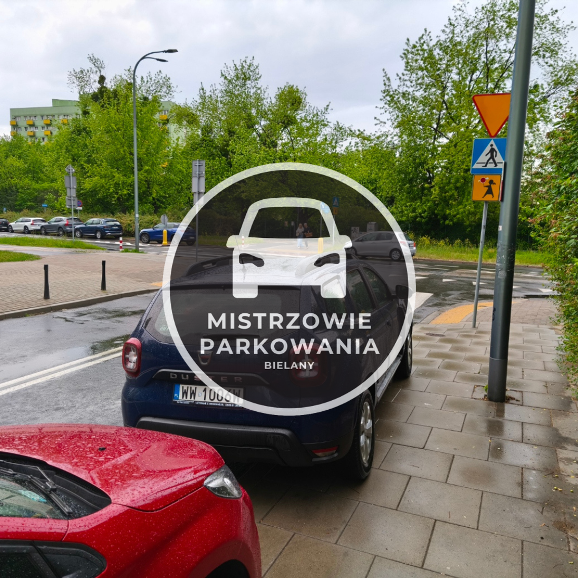 Mistrzowie parkowania #87 Mistrzowie parkowania #87