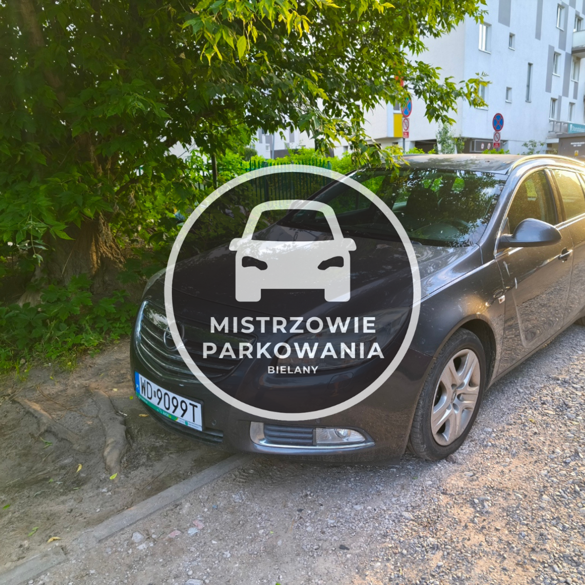 Mistrzowie parkowania #88 Mistrzowie parkowania #88