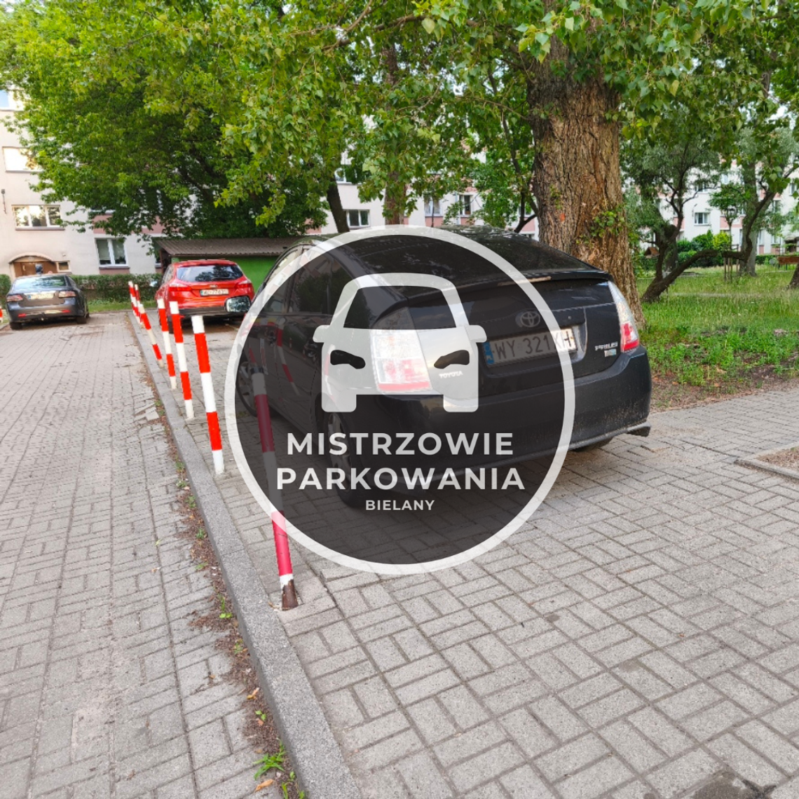 Mistrzowie parkowania #90 Mistrzowie parkowania #90