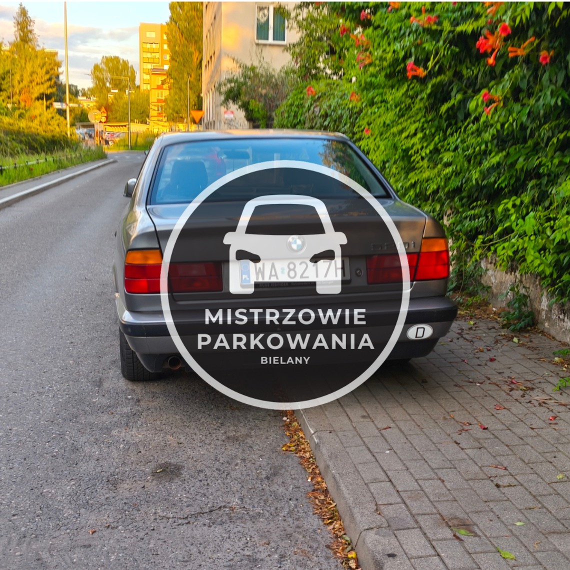 Mistrzowie parkowania #91 Mistrzowie parkowania #91