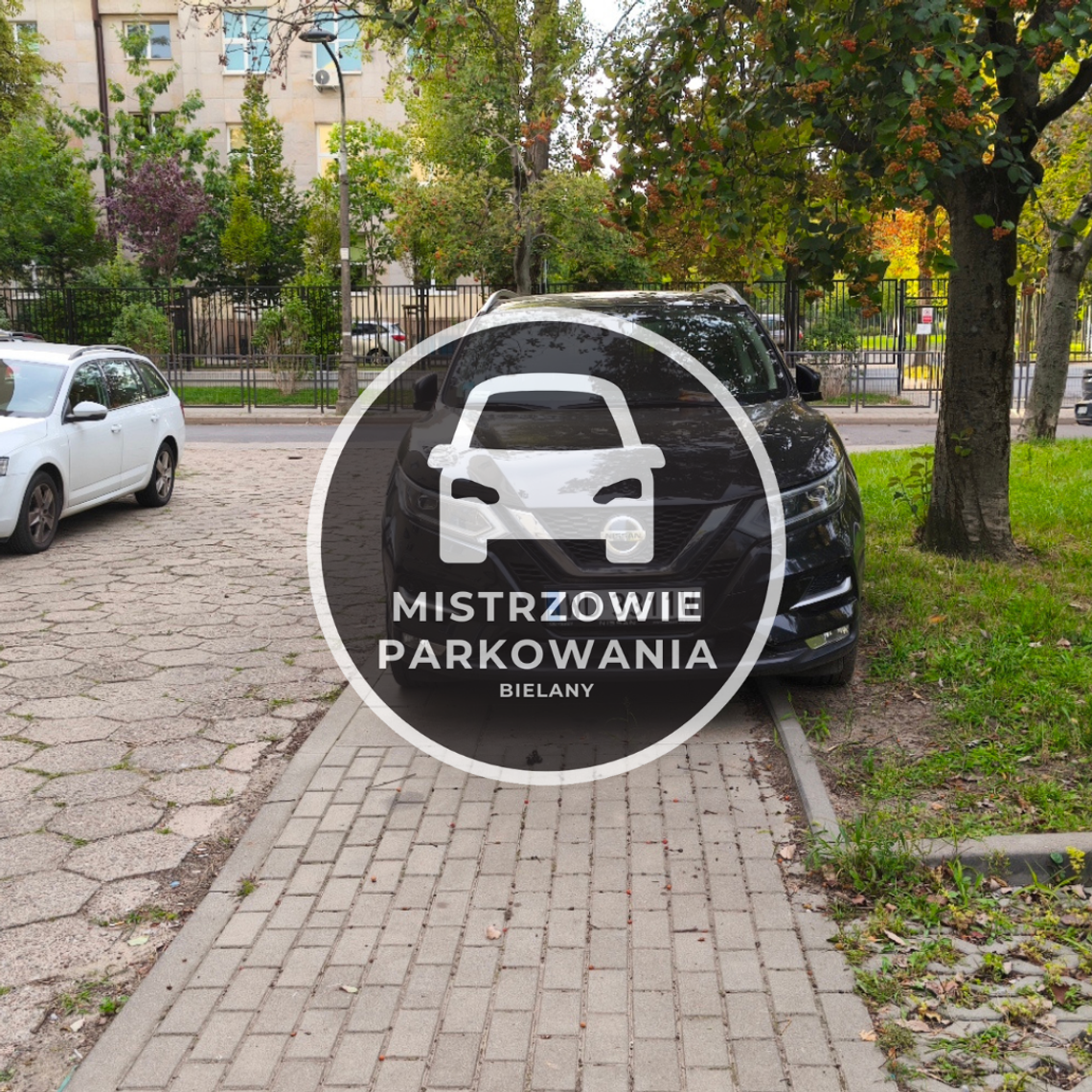 Mistrzowie parkowania #93