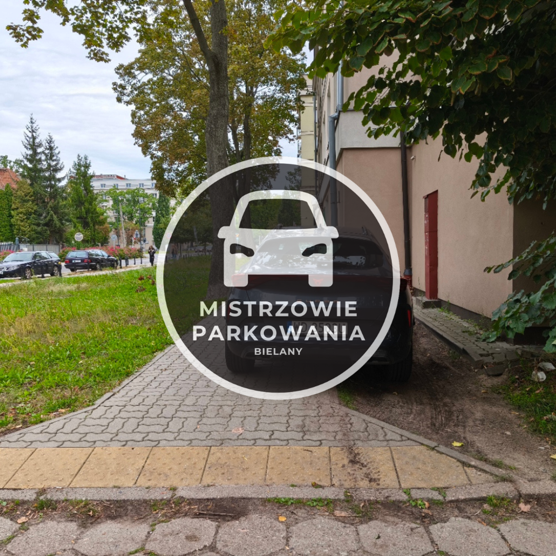 Mistrzowie parkowania #94 Mistrzowie parkowania #94