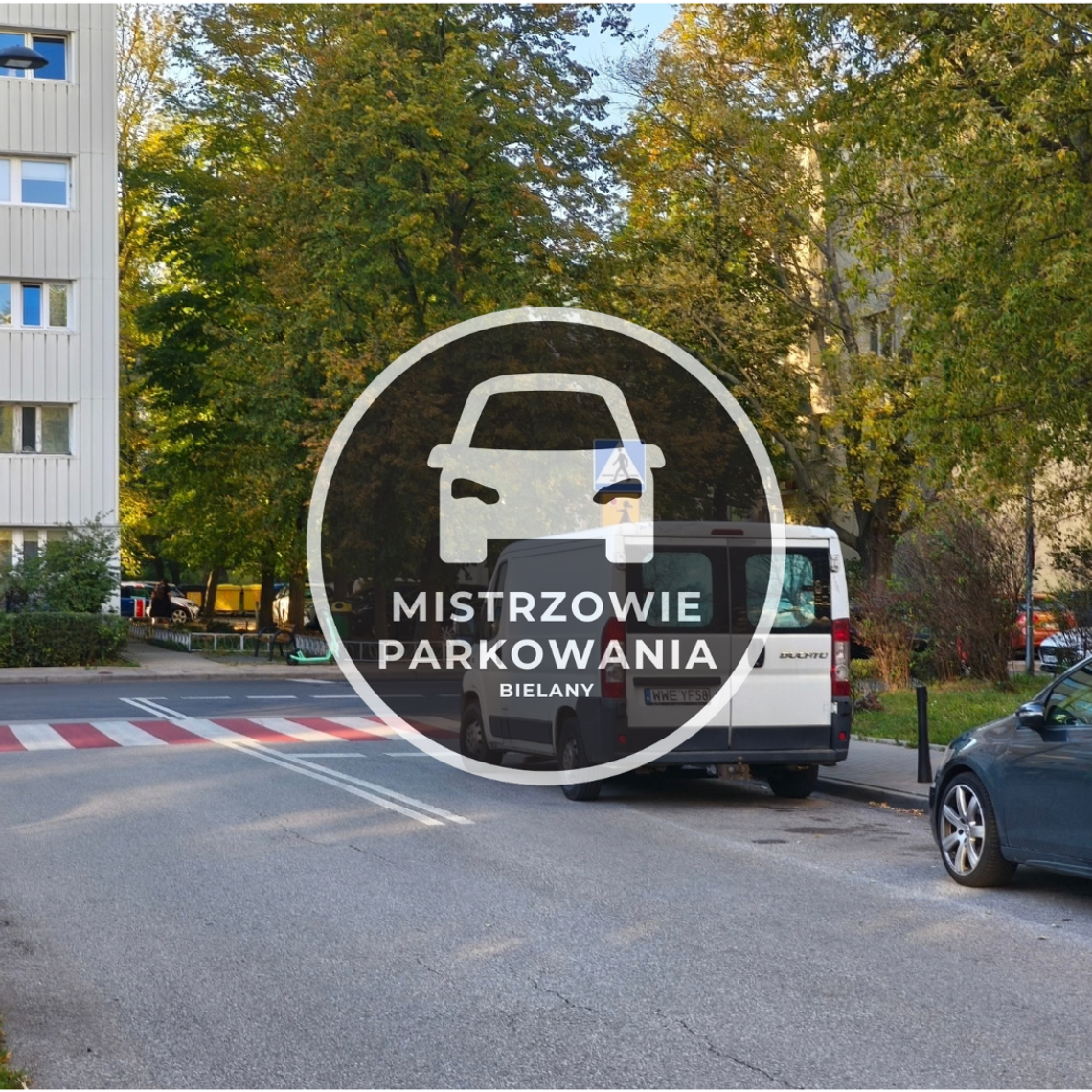 Mistrzowie parkowania #95