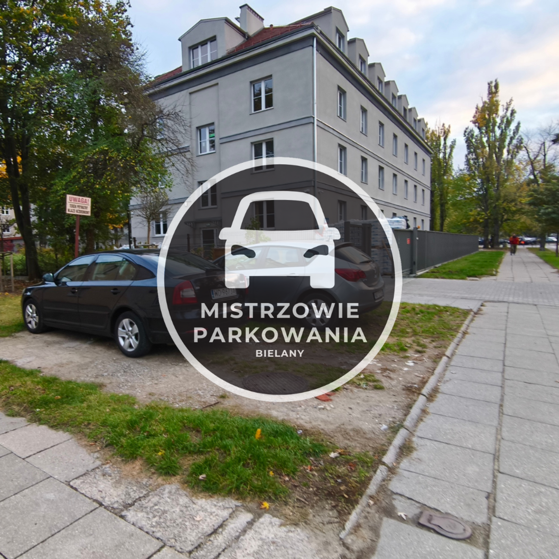 Mistrzowie parkowania #96