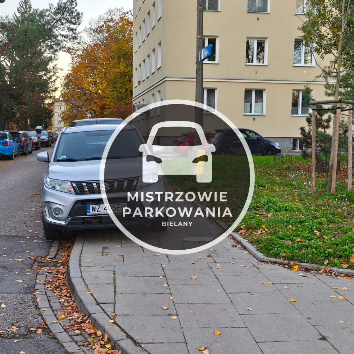 Mistrzowie parkowania #97