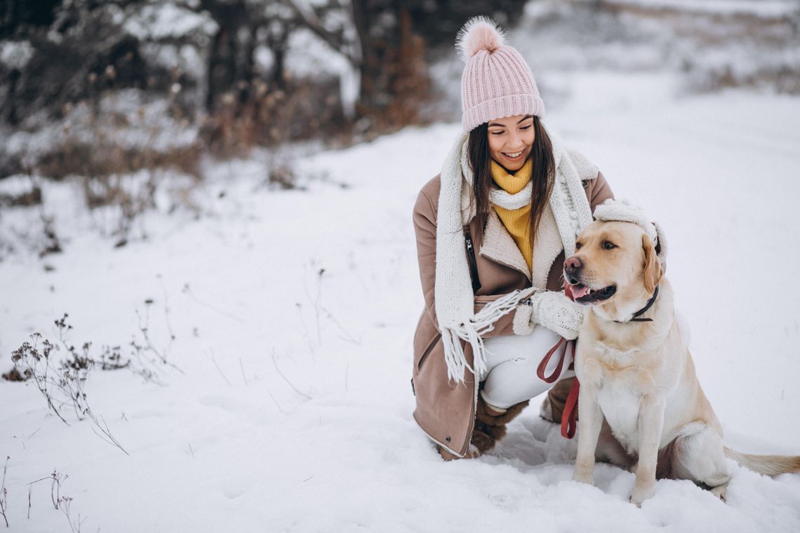 Mróz do −20°C. Jak chronić psy i koty przed wychłodzeniem?