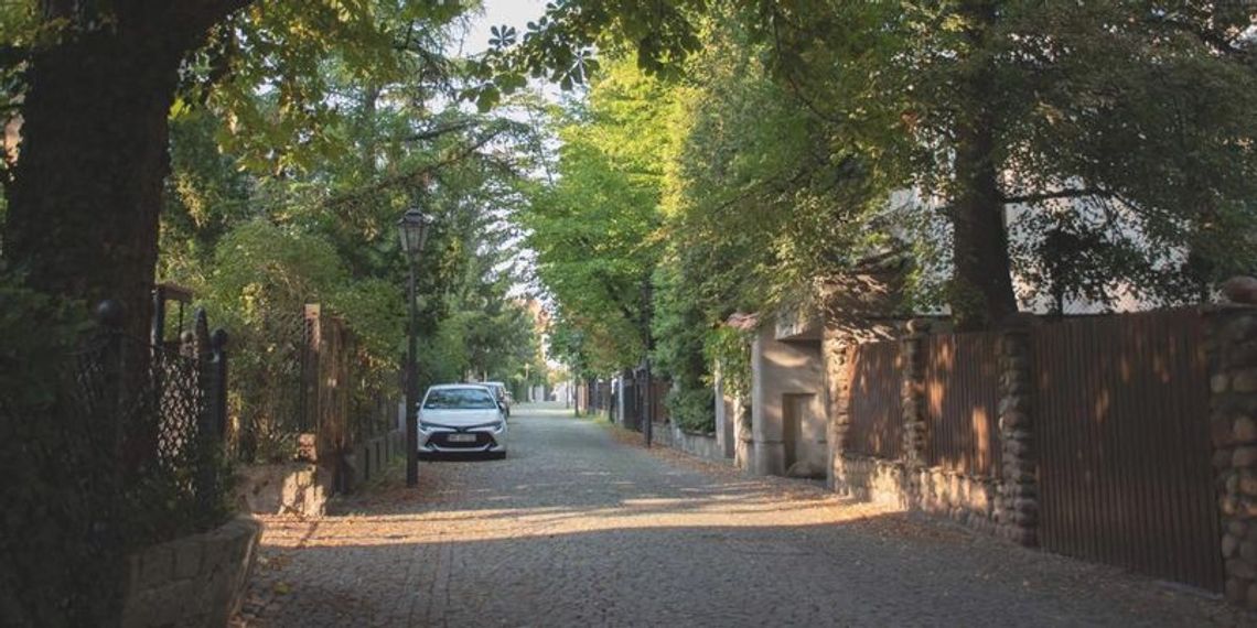 Najpiękniejsze miejsca na Bielanach - Płatnicza