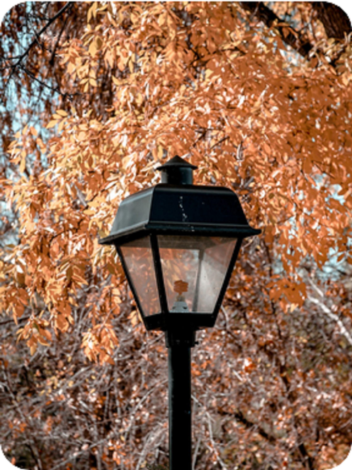 Nowoczesne światło dla parków