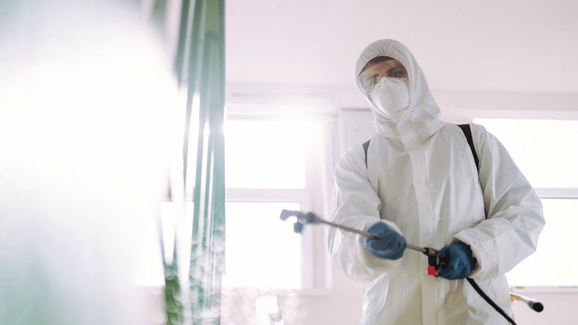 Profesjonalna dezynsekcja w Warszawie – metody, koszty i sprawdzone rozwiązania