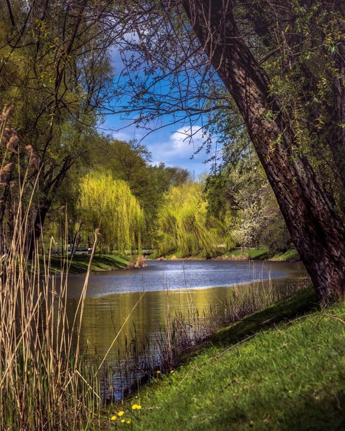 Rodzinny piknik pełen atrakcji w parku Kępa Potocka