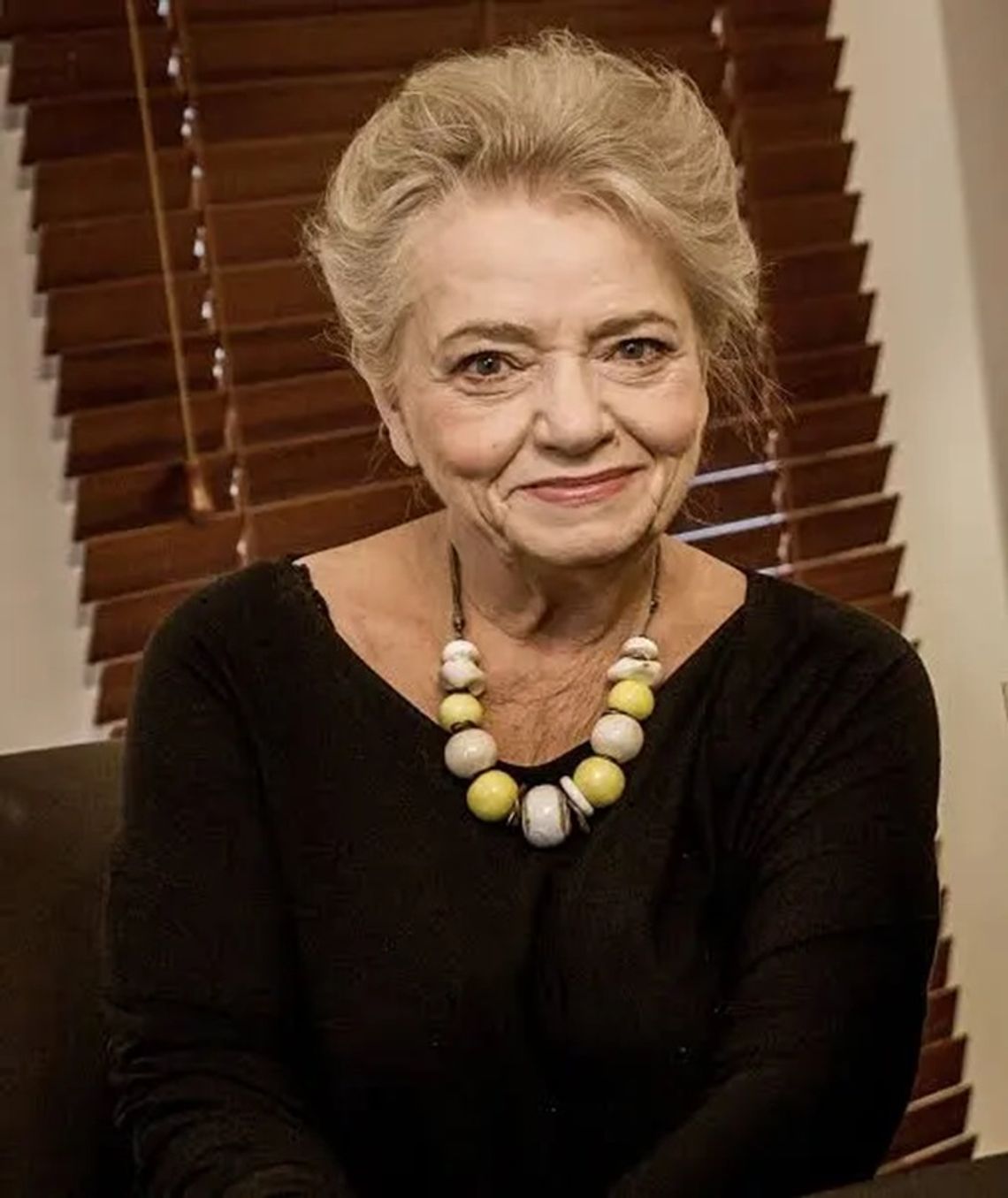 Spotkanie z Anną Seniuk i pokaz filmu „Horror Story”