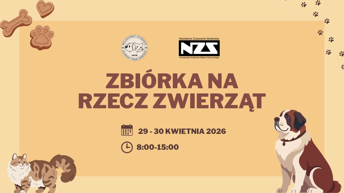 Studenci UKSW pomagają kotom z kampusu. Wyjątkowa zbiórka już pod koniec kwietnia