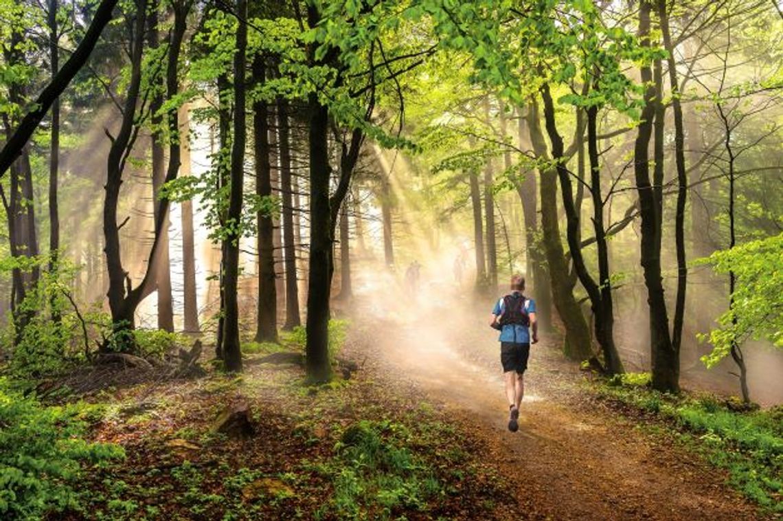 Taniec, bieganie i piknik ekologiczny – Weekend na Bielanach