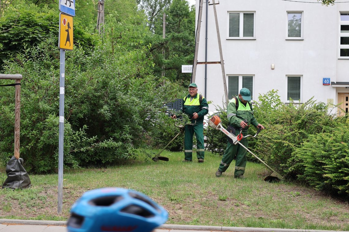 Wielkie koszenie na Bielanach