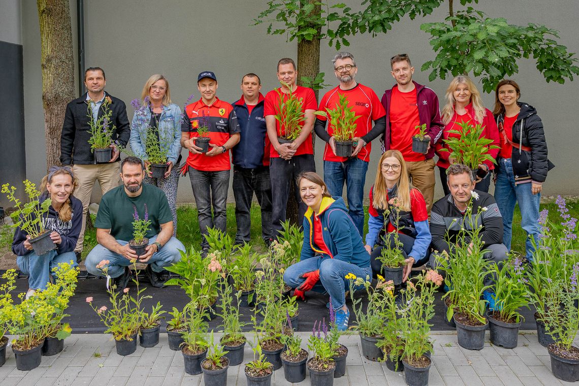 Wolontariusze SEGRO posadzili setki roślin dla przedszkolaków na Bielanach