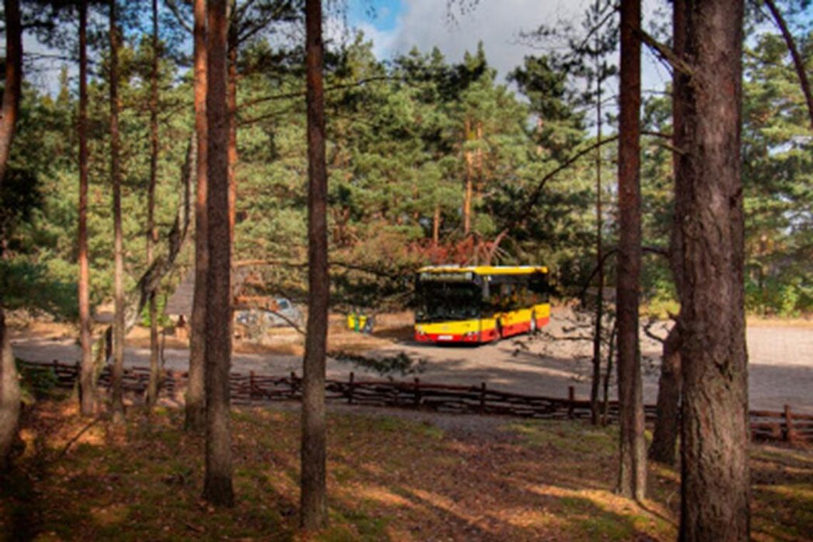 Wróciła kultowa linia 800! Prosty sposób na weekend w Kampinosie i wizytę w Palmirach Wróciła kultowa linia 800! Prosty sposób na weekend w Kampinosie i wizytę w Palmirach