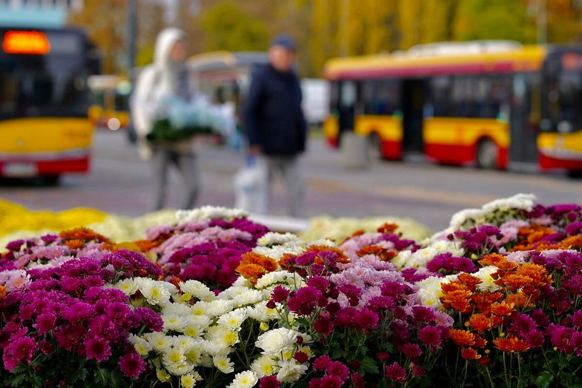 Zmiany w komunikacji przy Cmentarzu Północnym