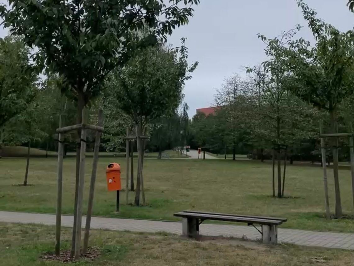 Zniszczone ławki w parku Chomicza. Radny interweniuje