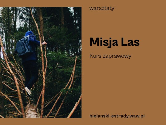 misja-las