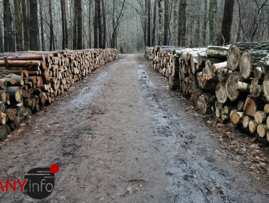 07A1403E-5374-483E-9952-7D122627E1B1