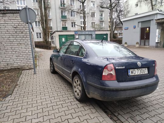 Mistrzowie parkowania #39