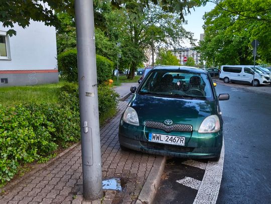 Mistrzowie parkowania #61