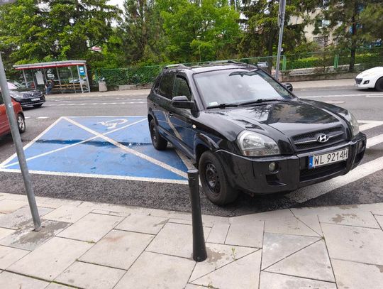 Mistrzowie parkowania #63