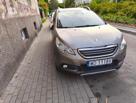 Mistrzowie parkowania #64