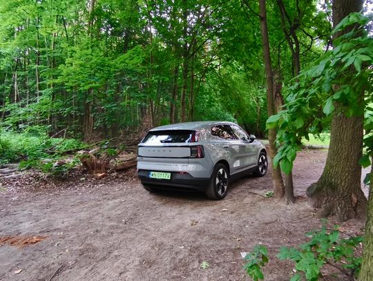 Mistrzowie parkowania #66