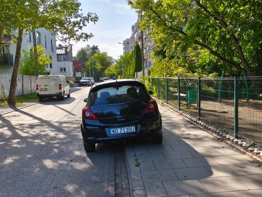 Mistrzowie parkowania #67