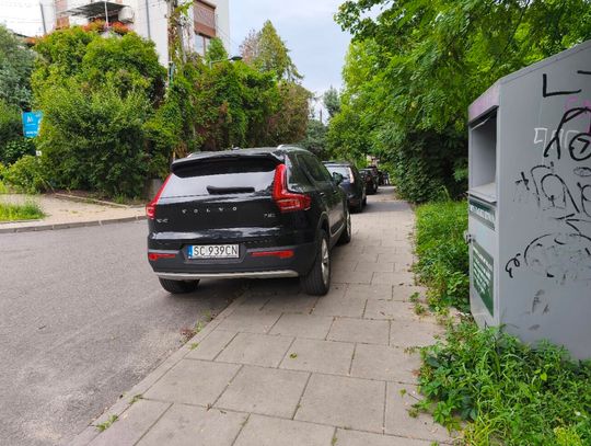 Mistrzowie parkowania #69