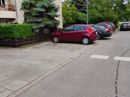 Mistrzowie parkowania #71