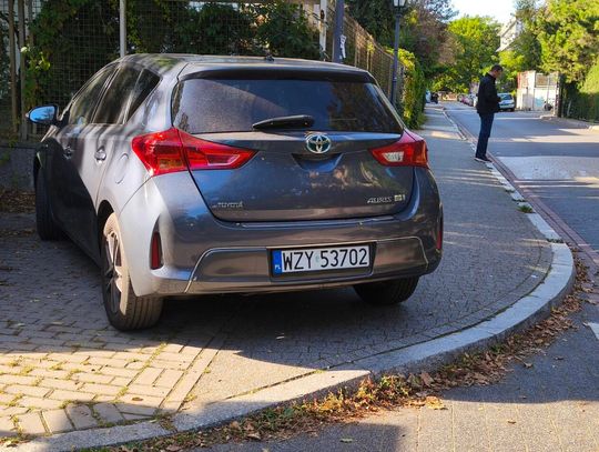 Mistrzowie parkowania #72