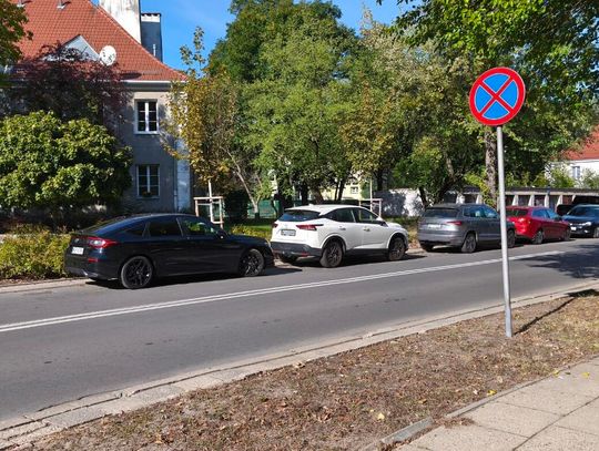 Mistrzowie parkowania #73