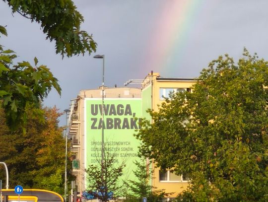 Odnowili elewację, żeby zaraz ją zasłonić. Reklamoza coraz większą zmorą Bielan