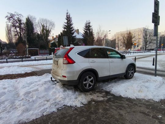 Mistrzowie parkowania #79