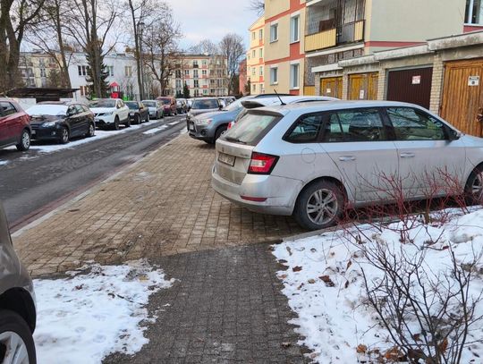 Mistrzowie parkowania #81 Mistrzowie parkowania #81