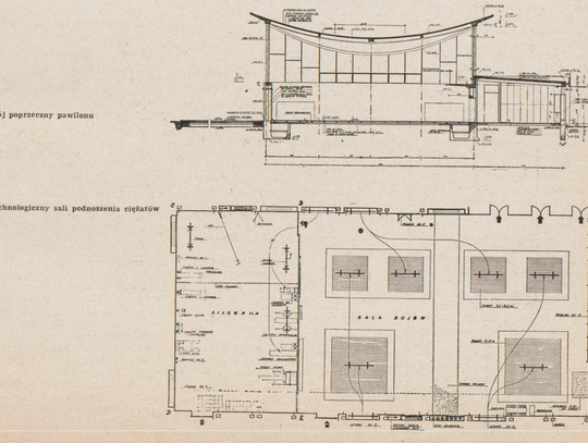 Dachy, które miały unosić się wśród drzew. O architekturze hal AWF