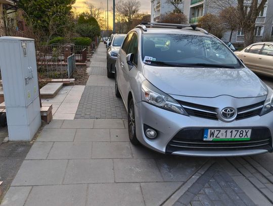 Mistrzowie parkowania #83