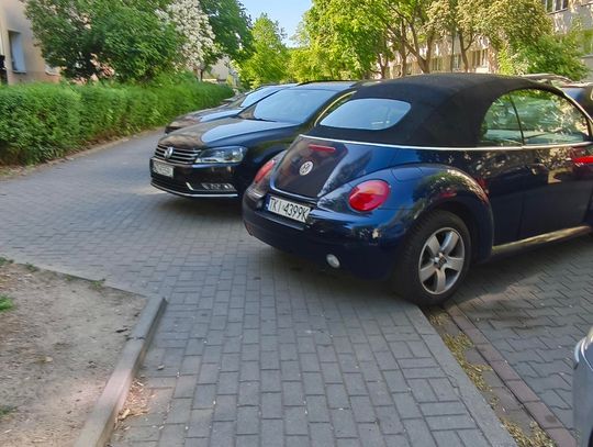 Mistrzowie parkowania #86